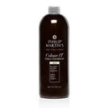 Philip Martin's COLOUR IT Gold 980ml